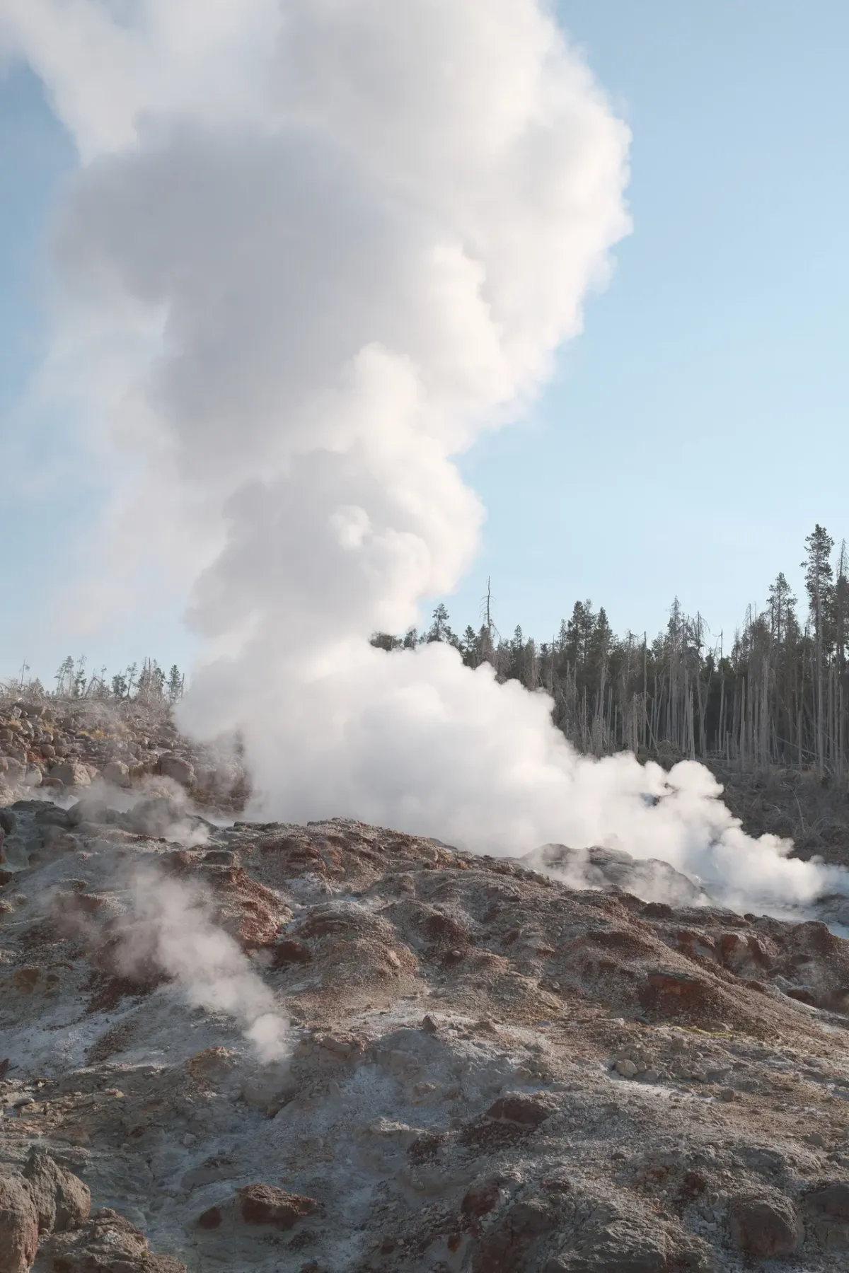 Yellowstone NP photograph 27