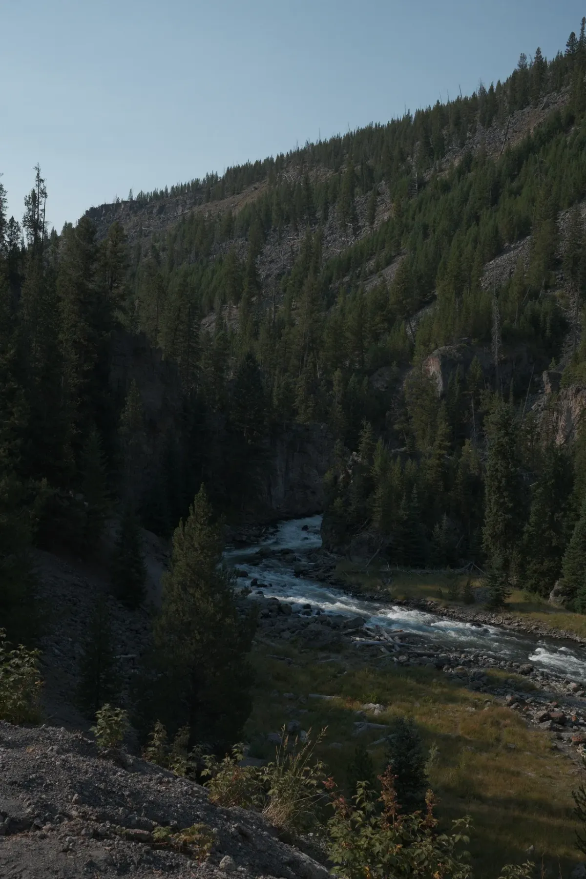 Yellowstone NP photograph 29