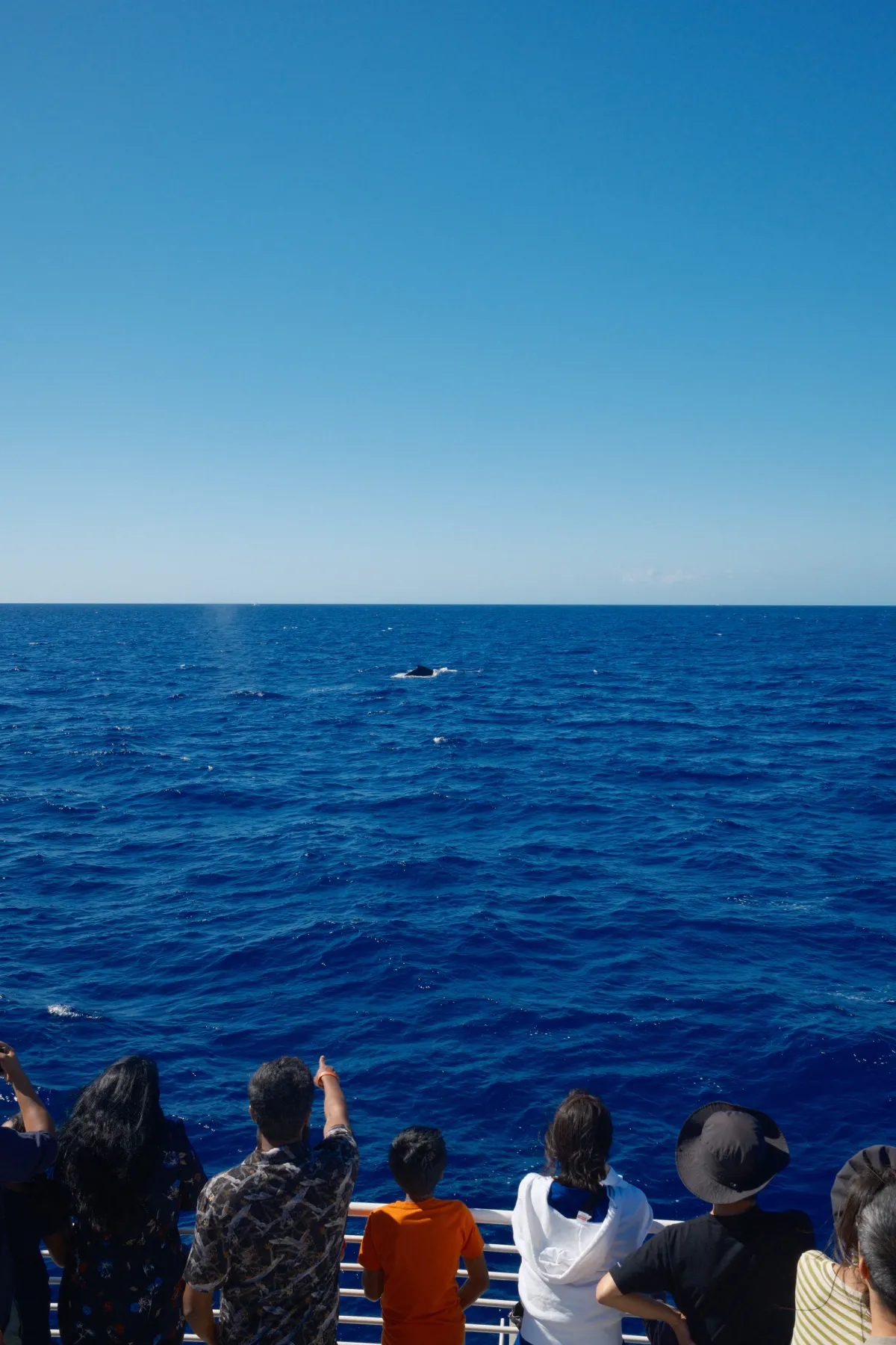 Hawaii photograph 46