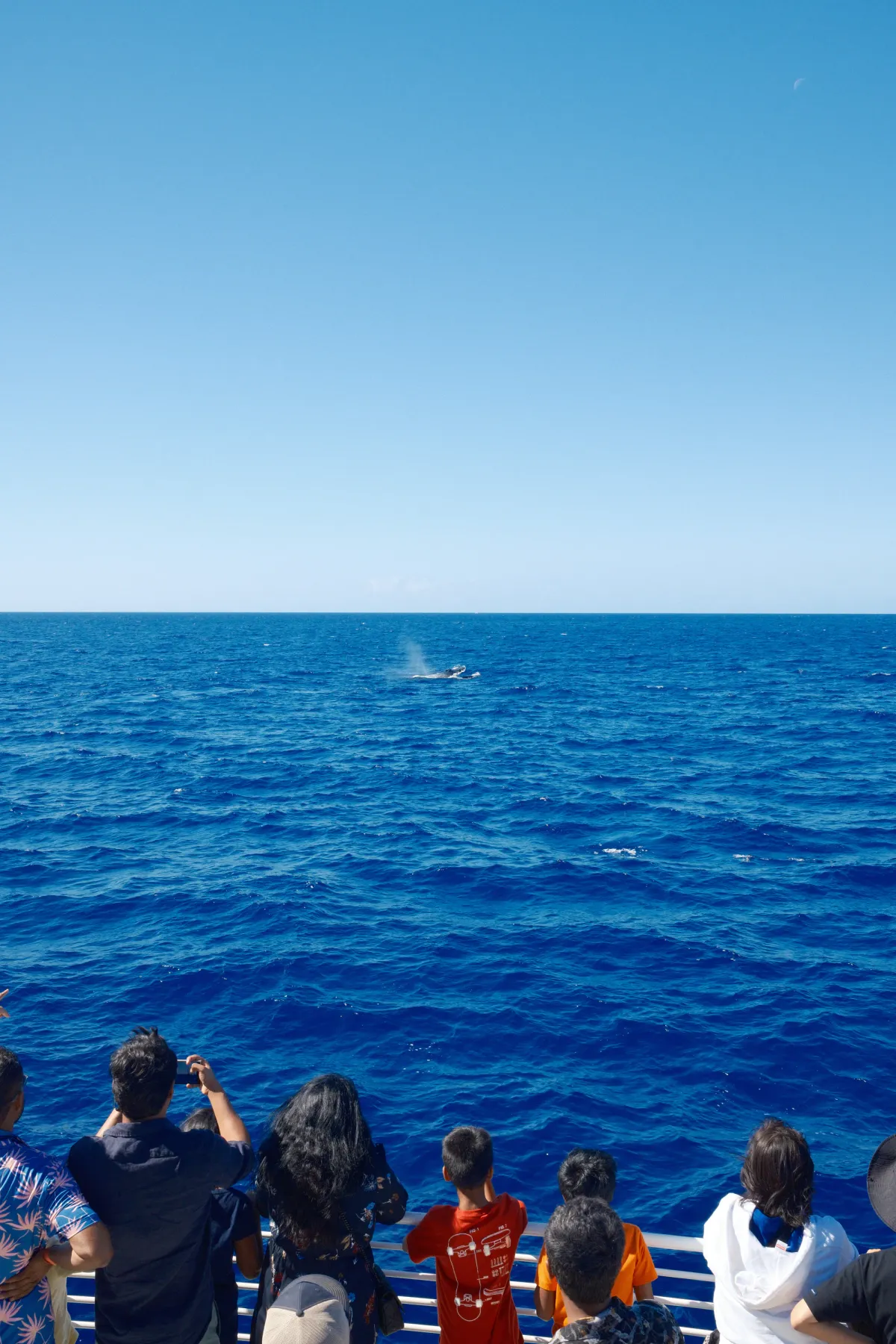 Hawaii photograph 47