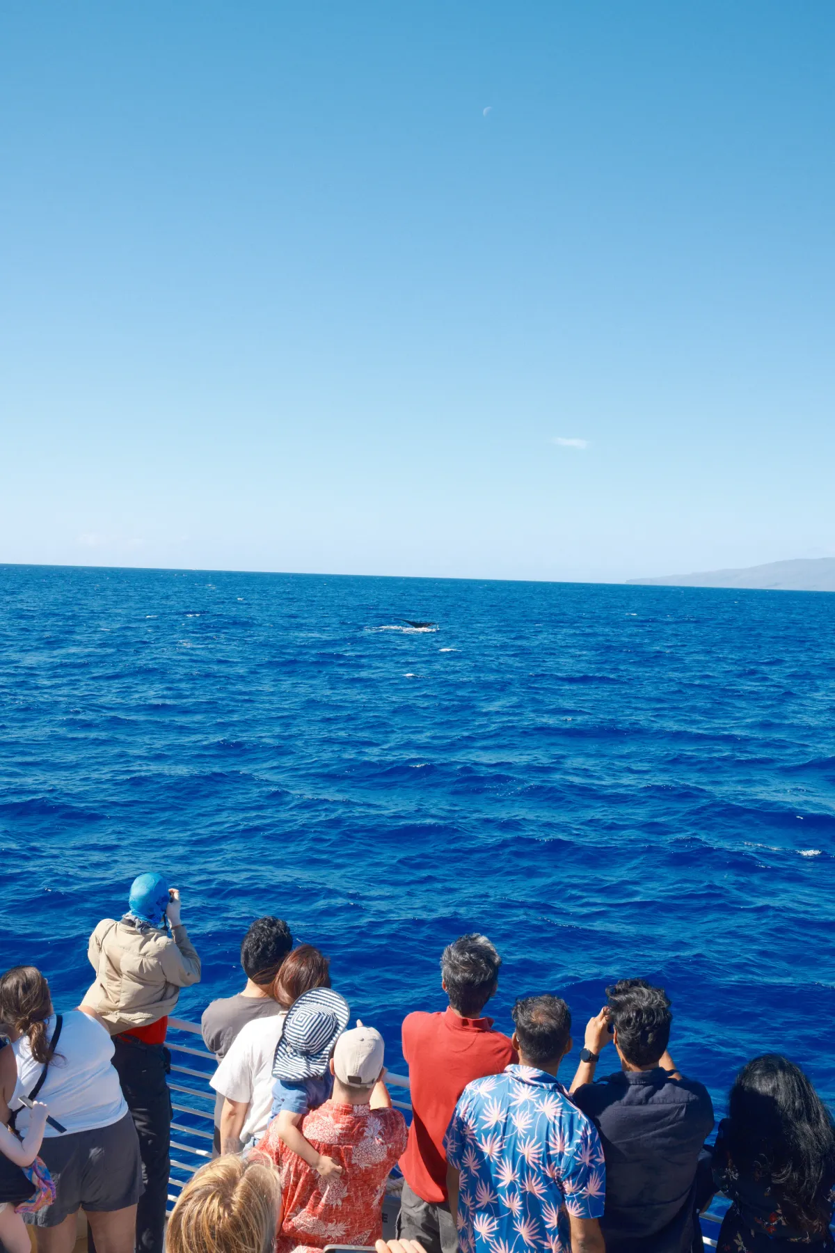 Hawaii photograph 48