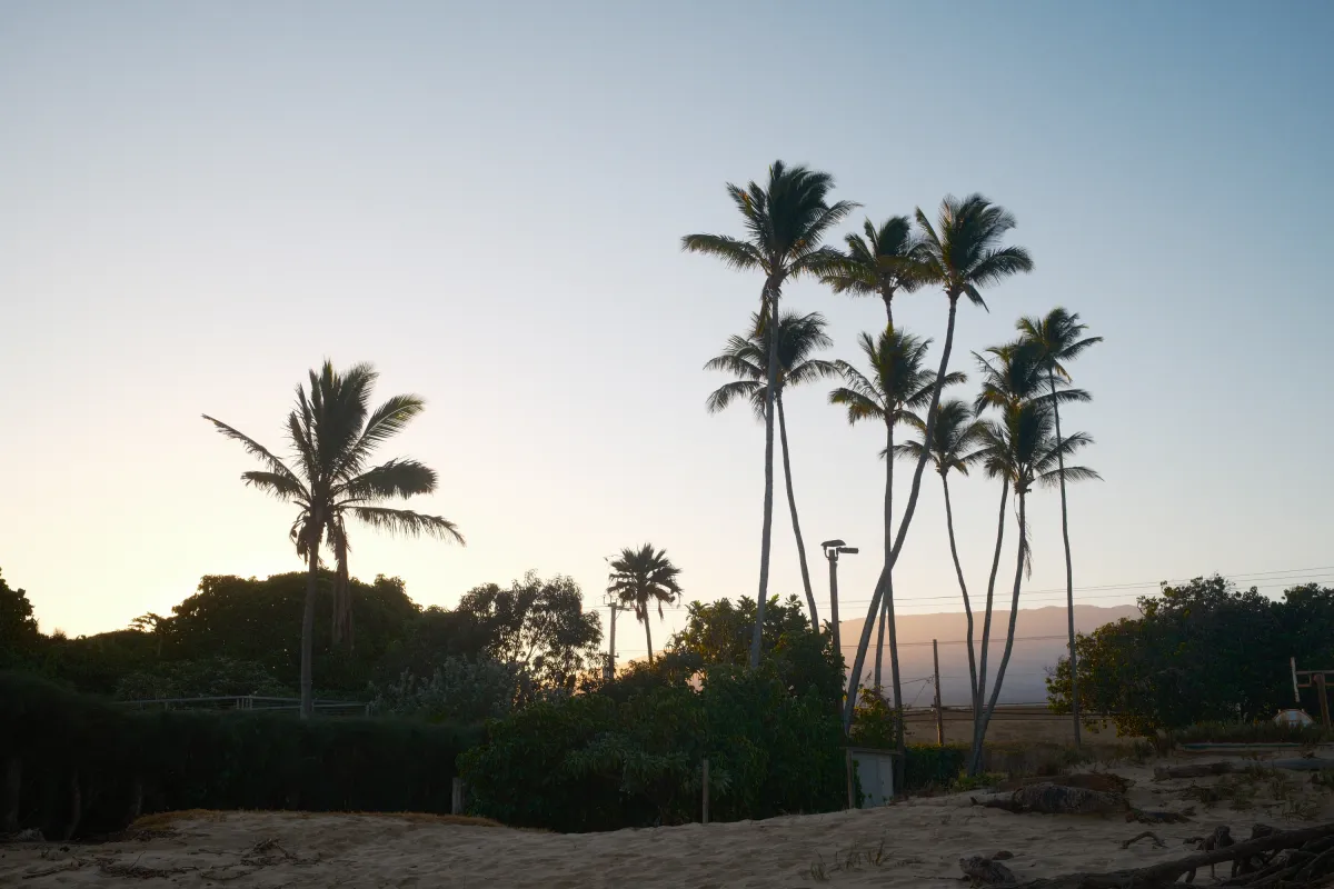 Hawaii photograph 65