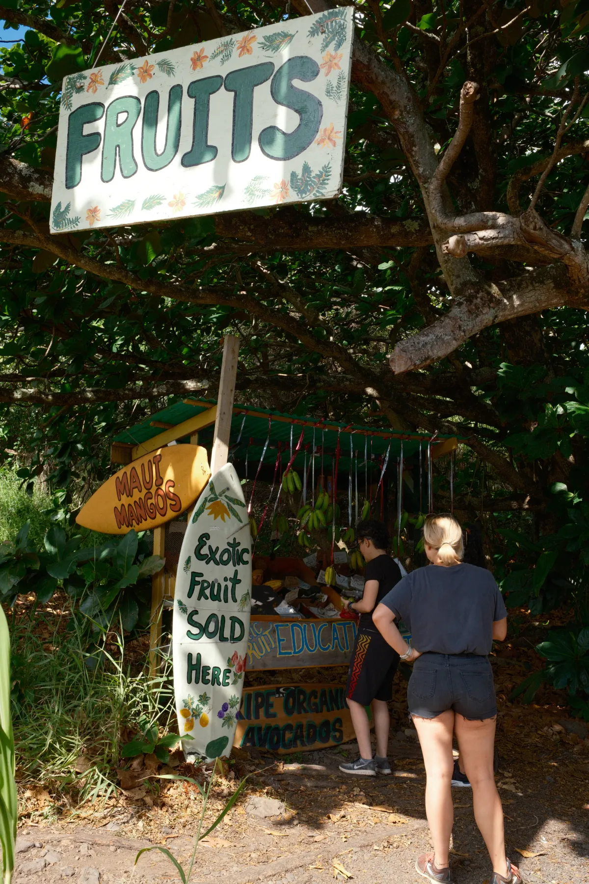 Hawaii photograph 71