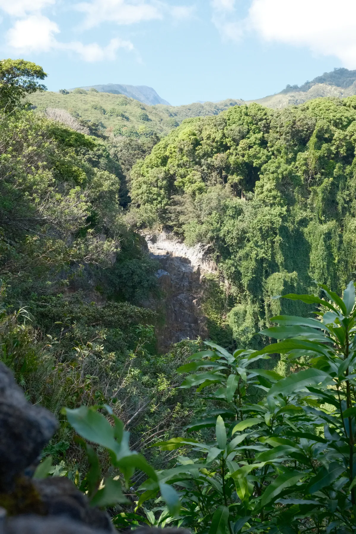 Hawaii photograph 73