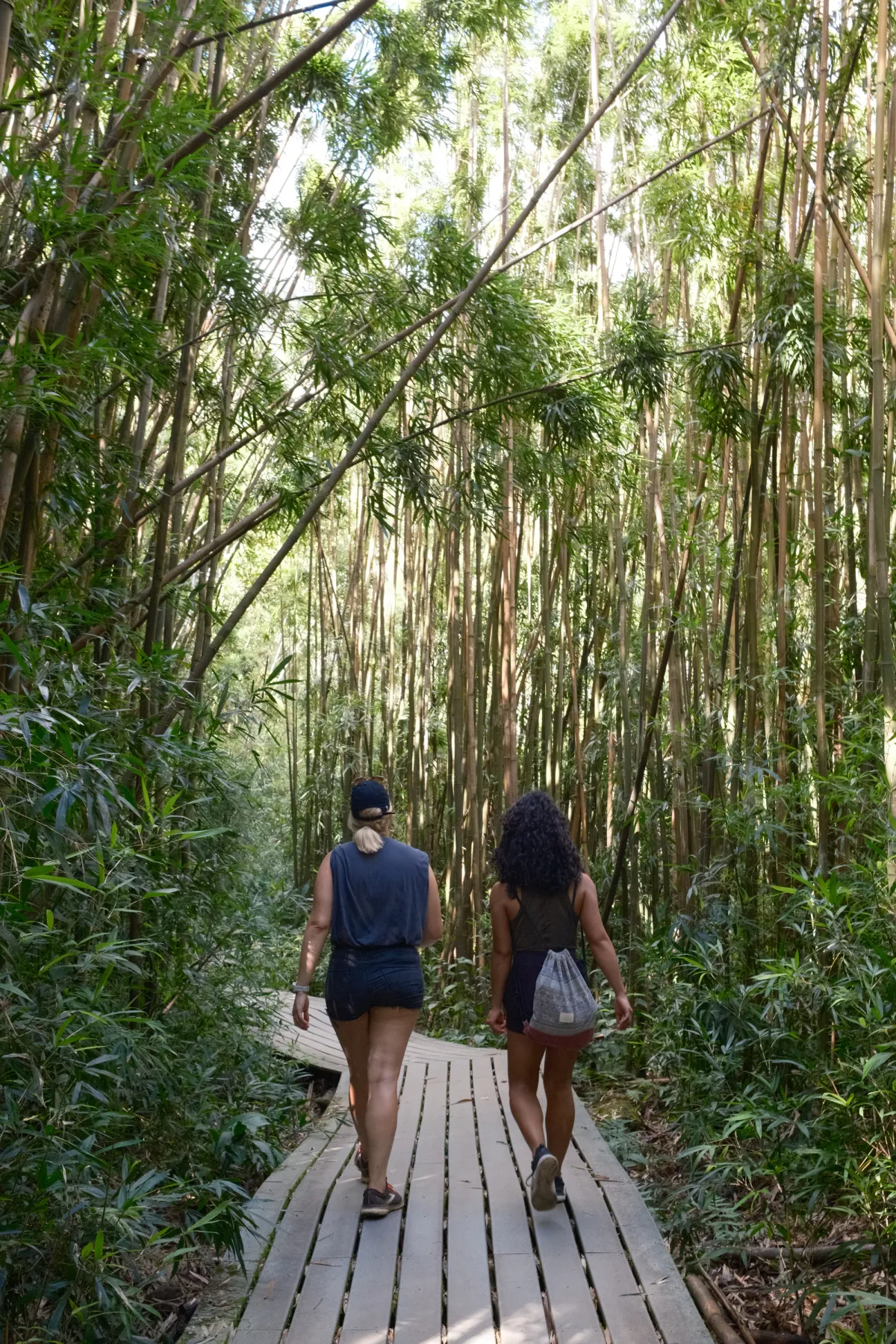 Hawaii photograph 78