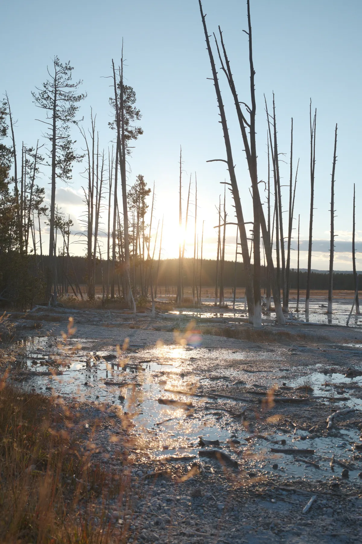 Grand Teton NP photograph 4