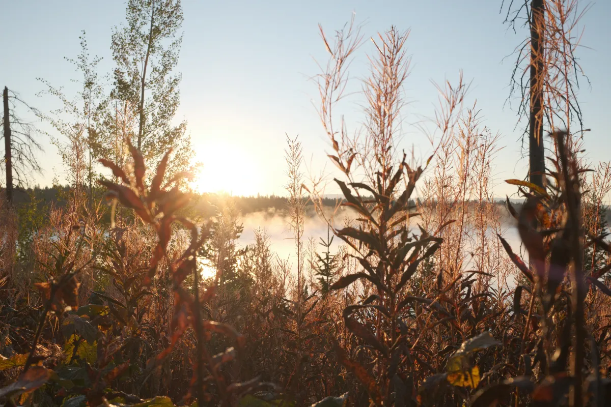 Grand Teton NP photograph 17