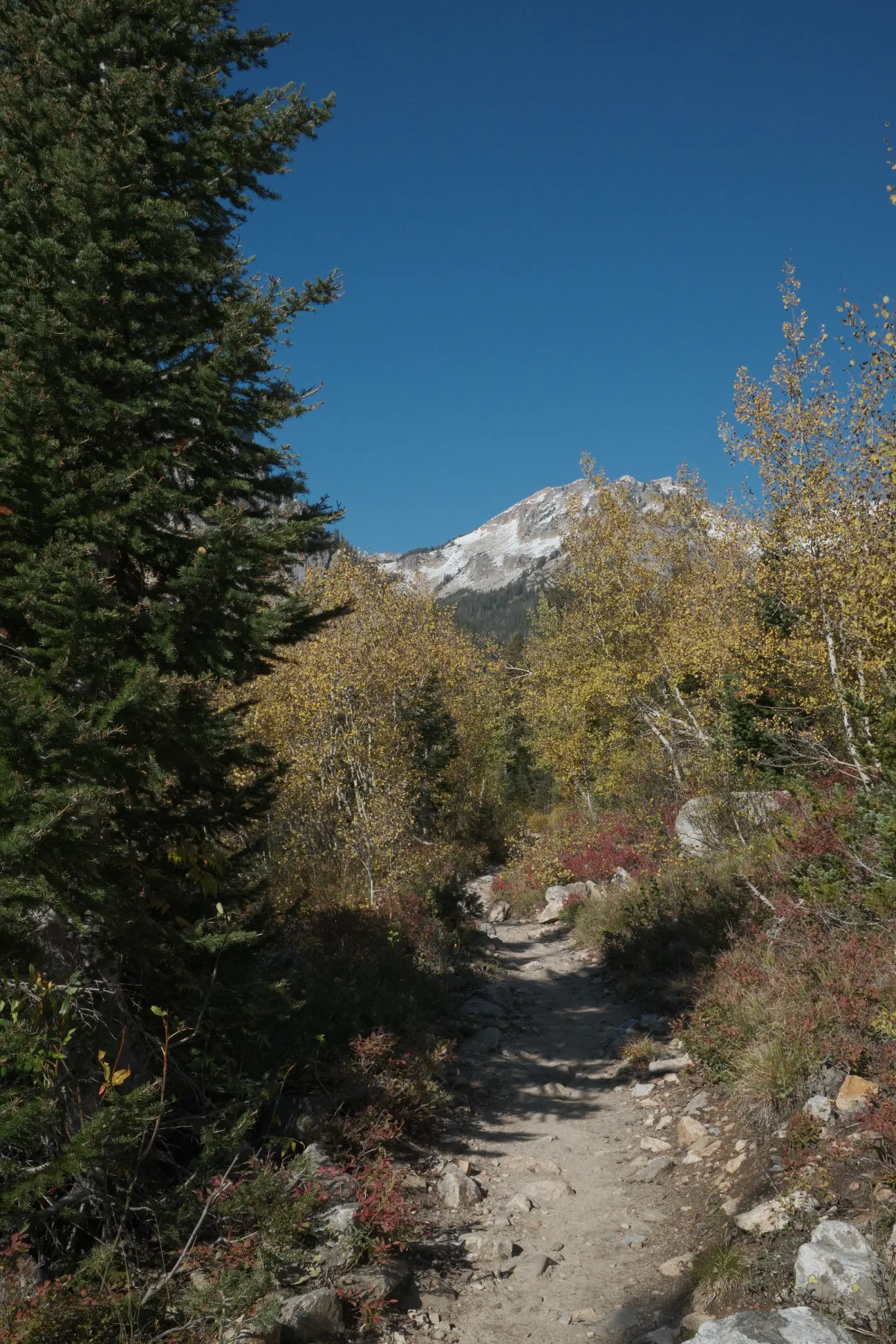Grand Teton NP photograph 20