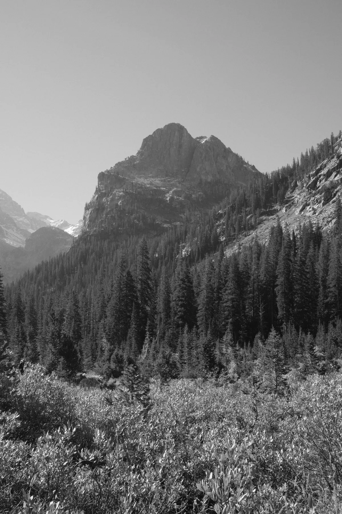 Grand Teton NP photograph 24
