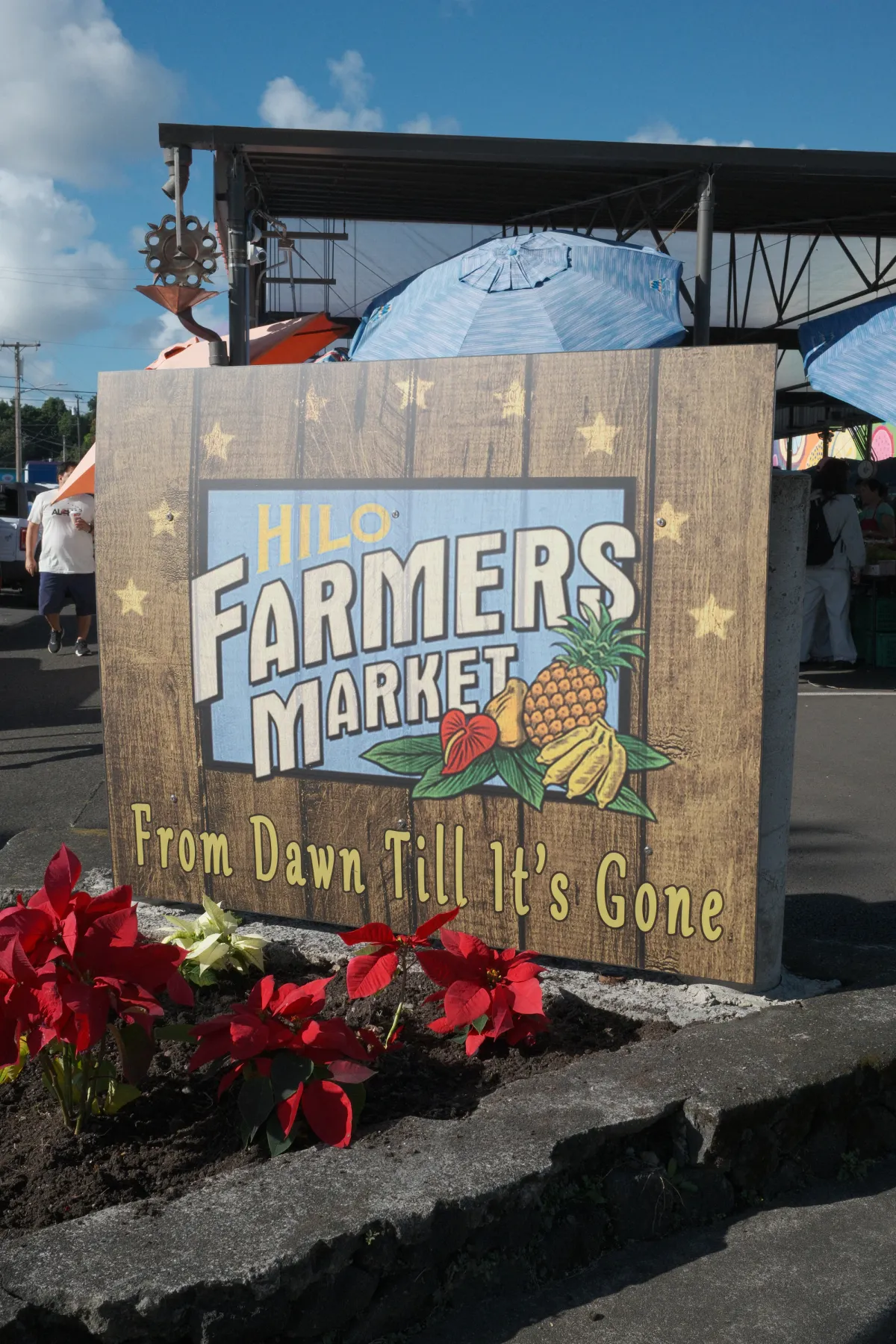 Hawaii photograph 88
