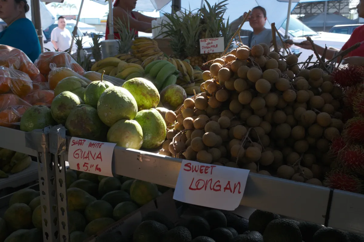 Hawaii photograph 89