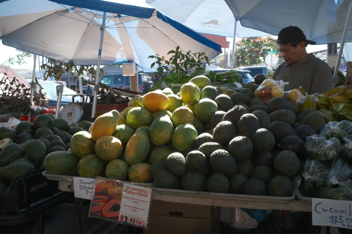Hawaii photograph 91