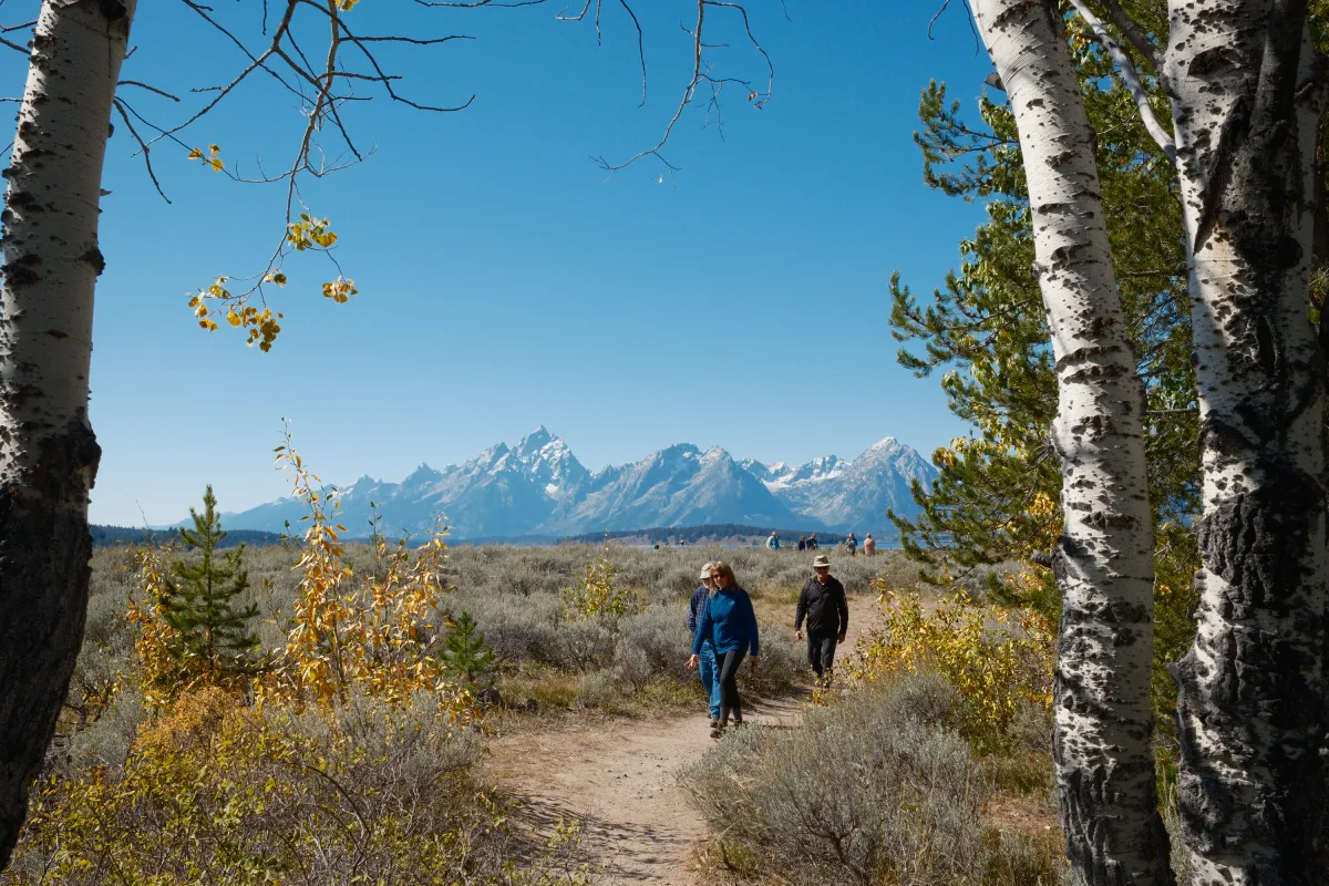 Grand Teton NP photograph 49