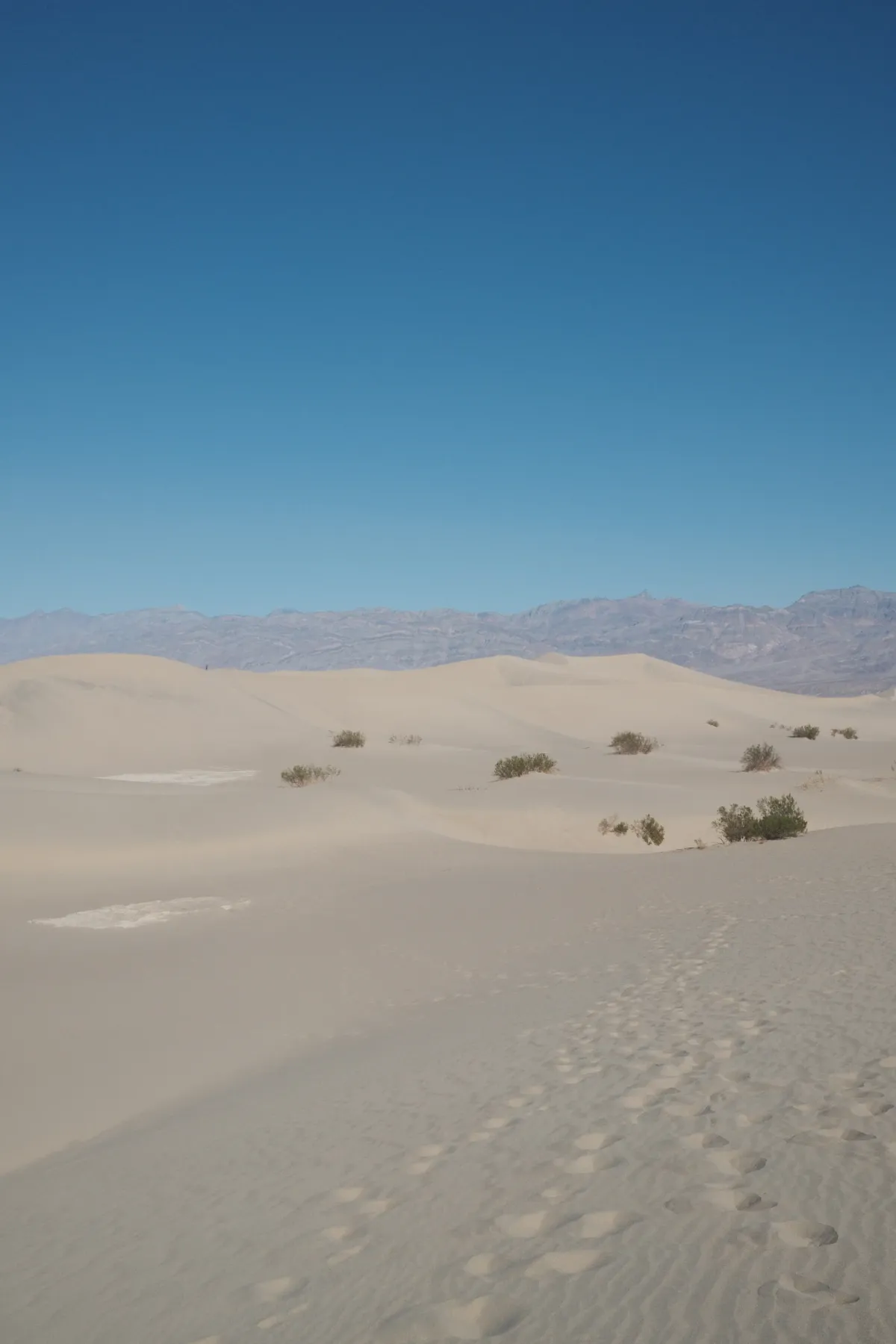 The Wild West photograph 25