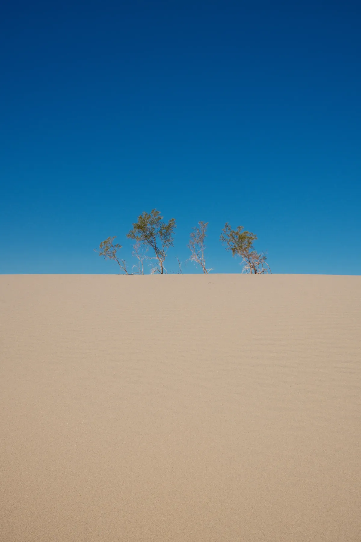 The Wild West photograph 27