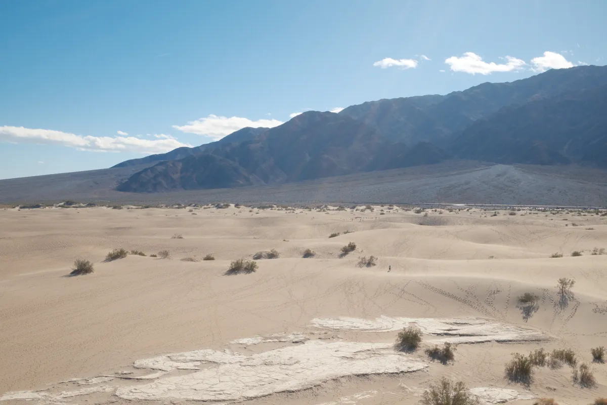 The Wild West photograph 29