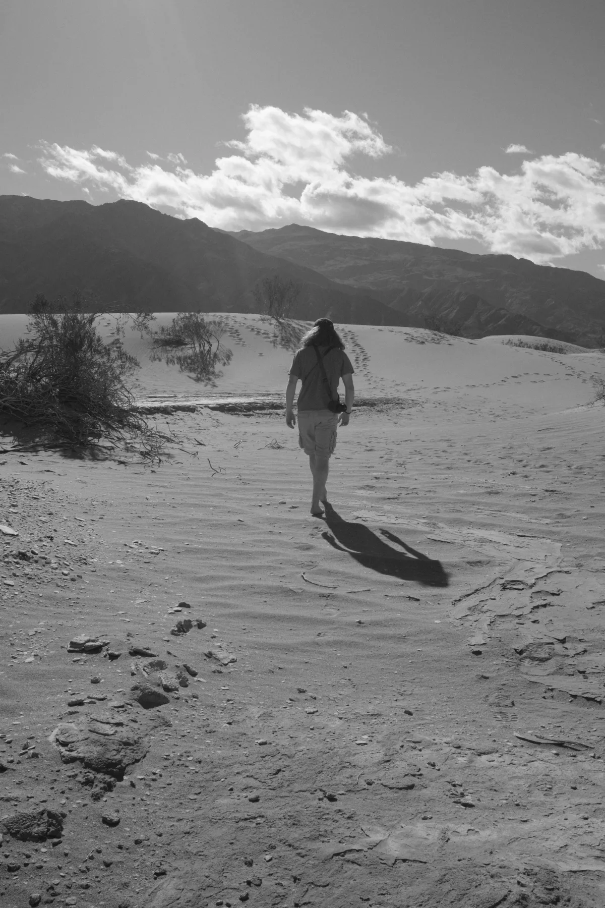 The Wild West photograph 31