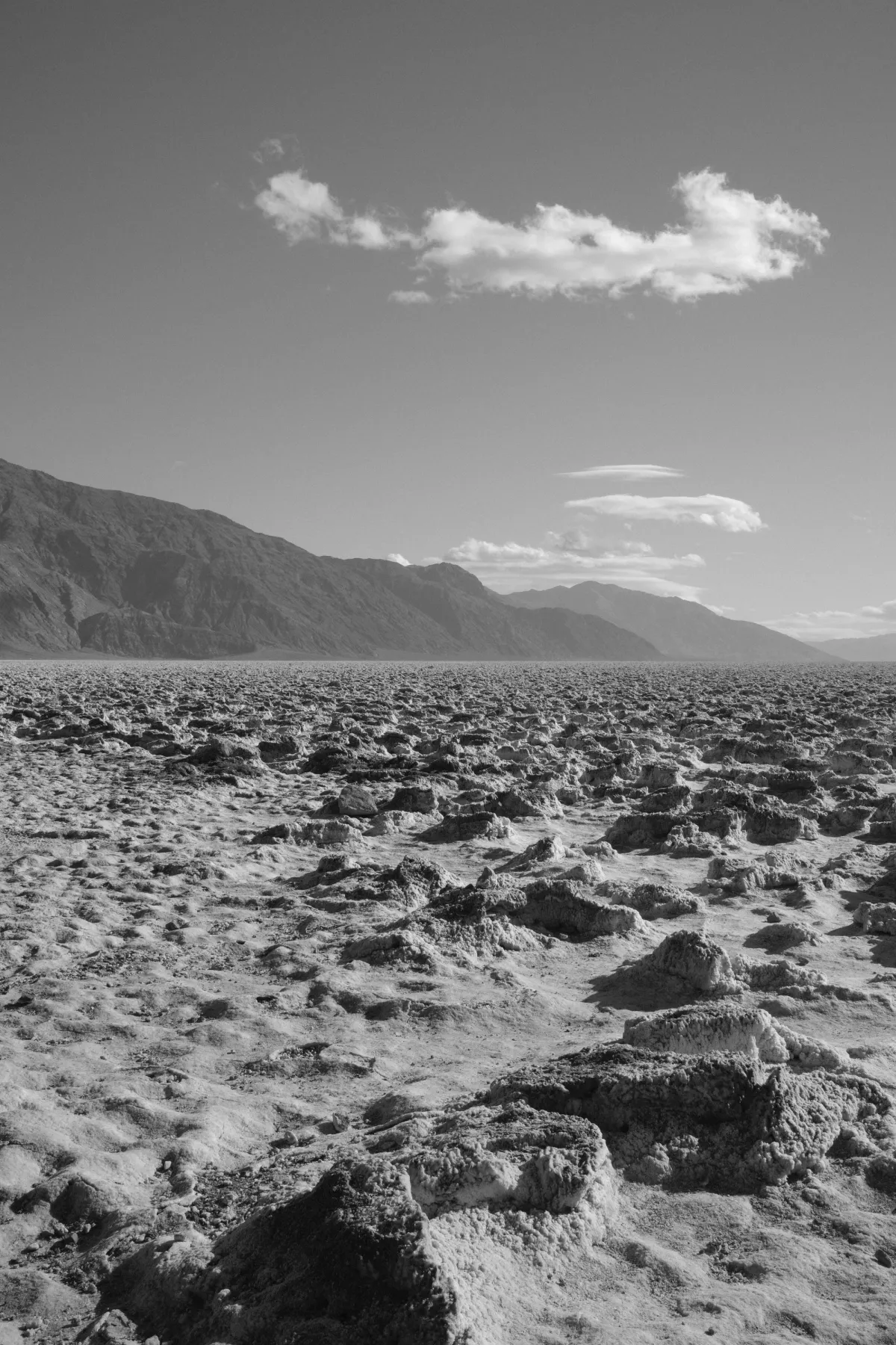The Wild West photograph 33