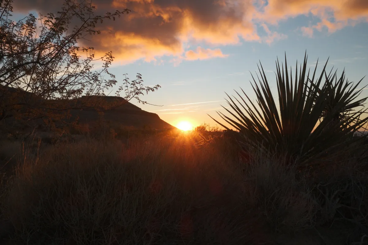 The Wild West photograph 47