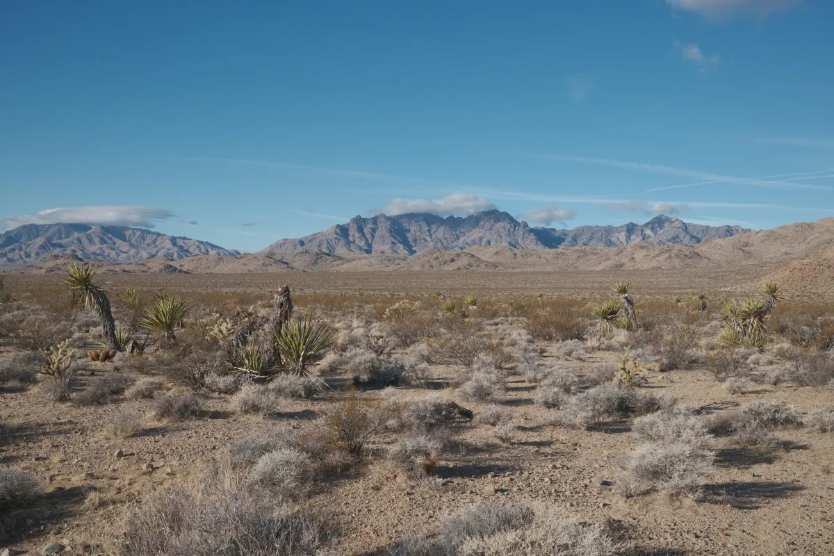 The Wild West photograph 48