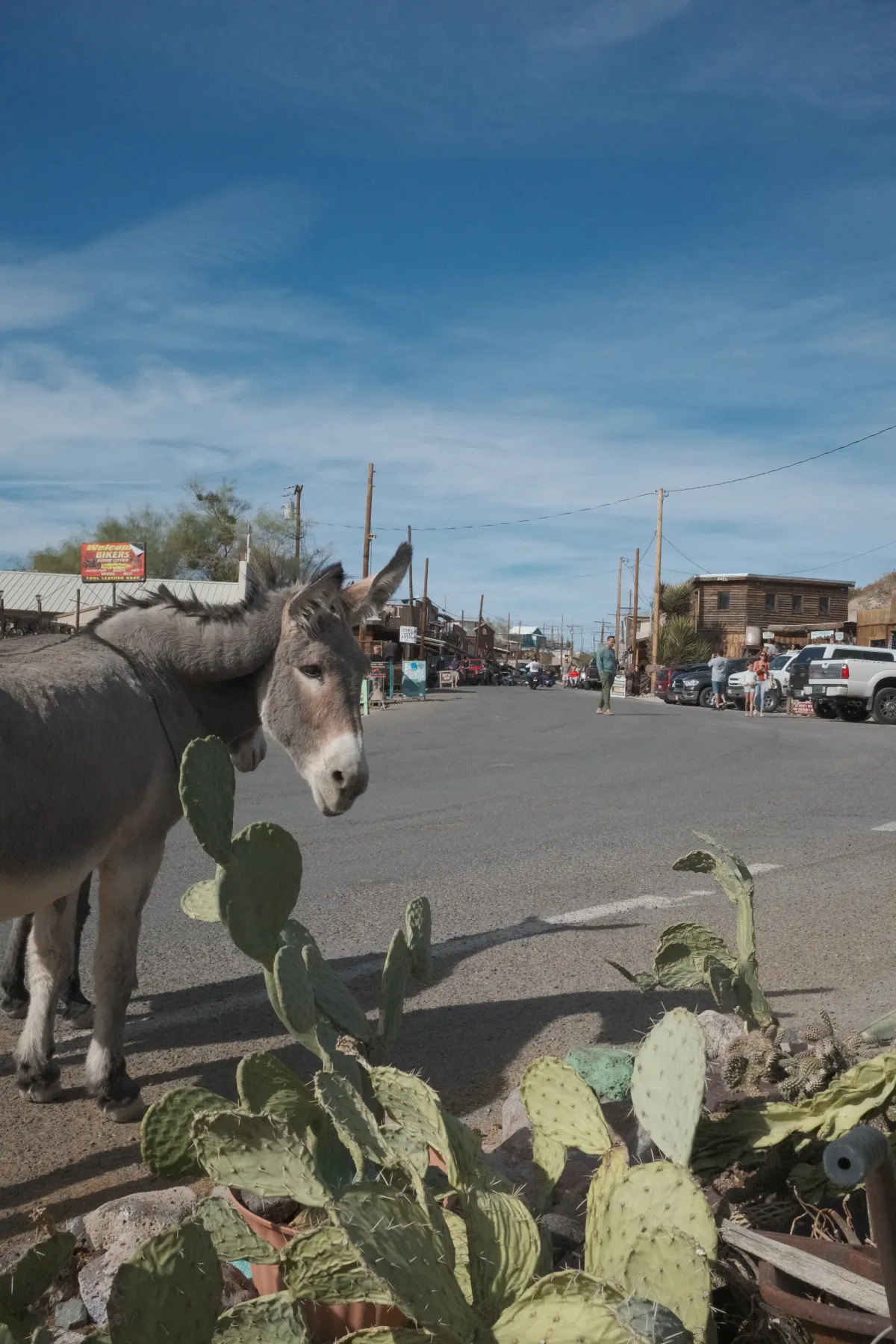 The Wild West photograph 56