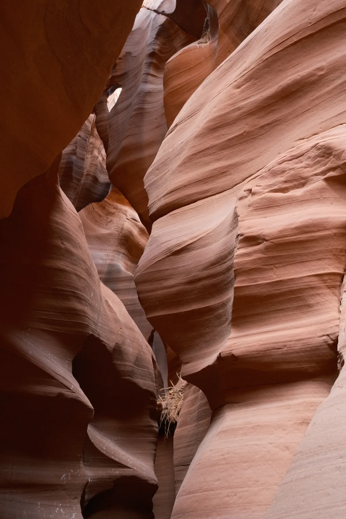 The Wild West photograph 73