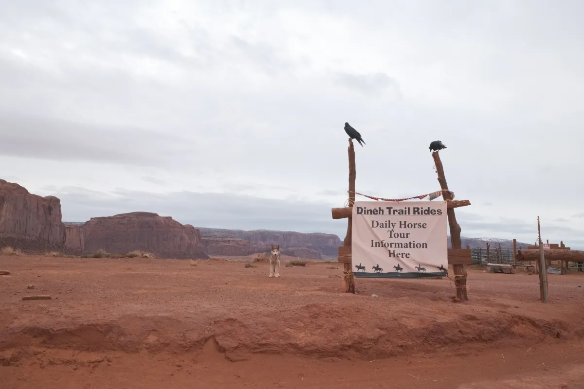 The Wild West photograph 81