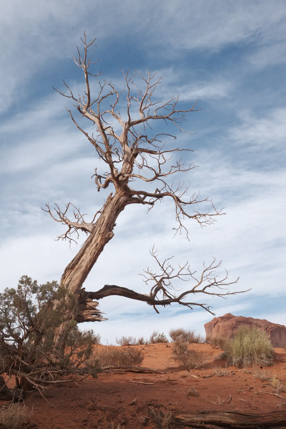 The Wild West photograph 85