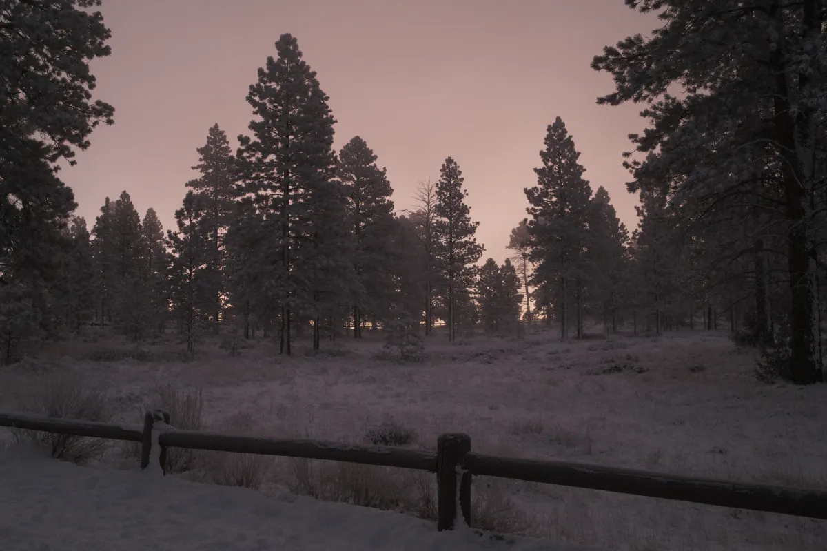 The Wild West photograph 95