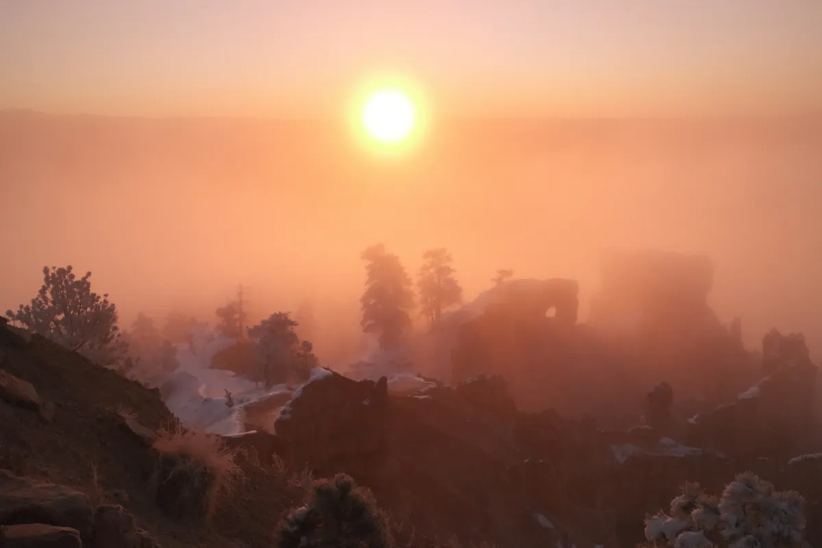 The Wild West photograph 97