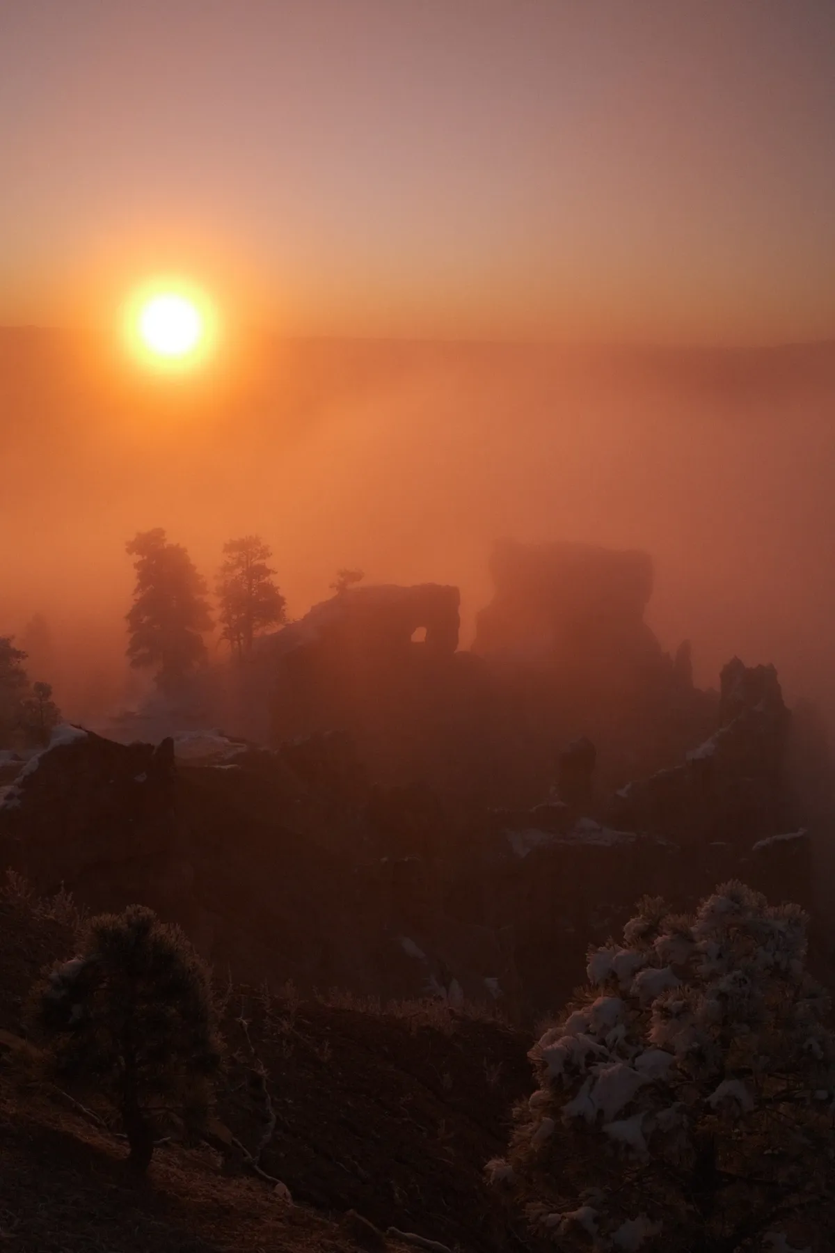 The Wild West photograph 98