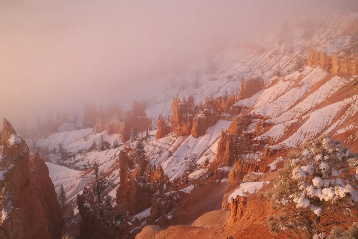 The Wild West photograph 99