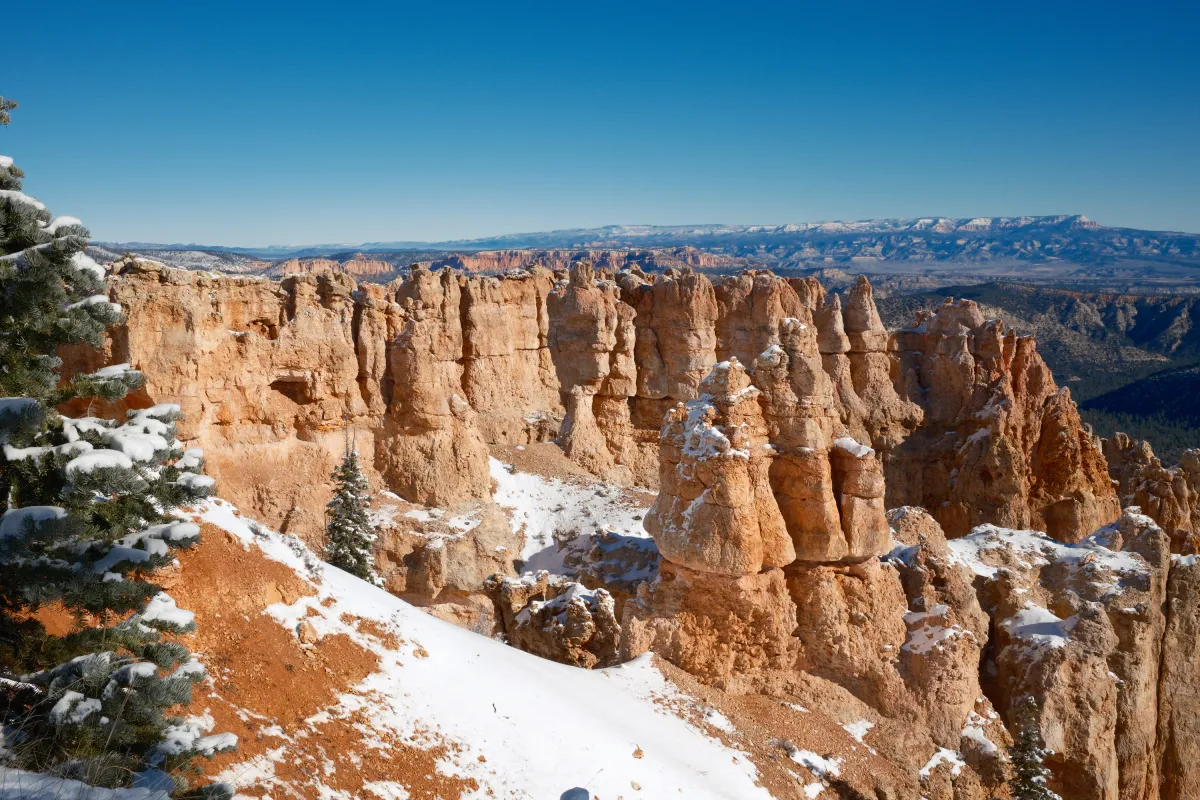 The Wild West photograph 105