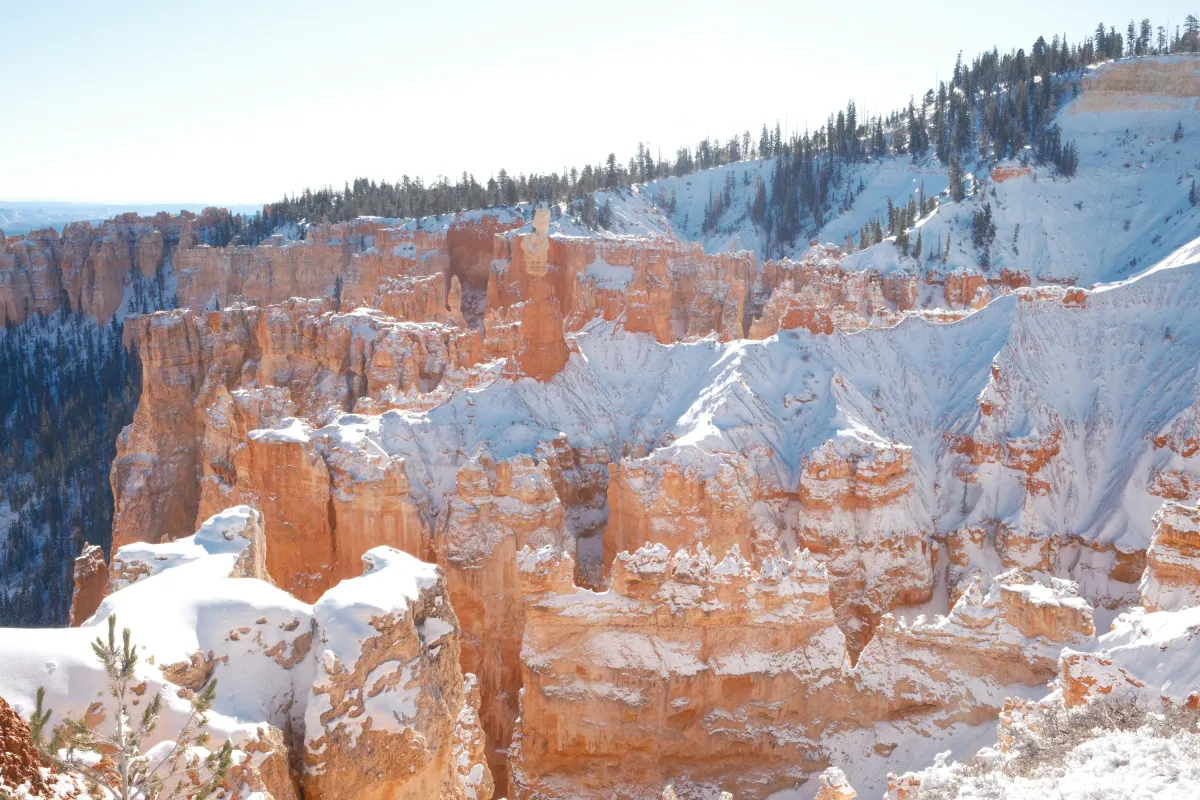 The Wild West photograph 106