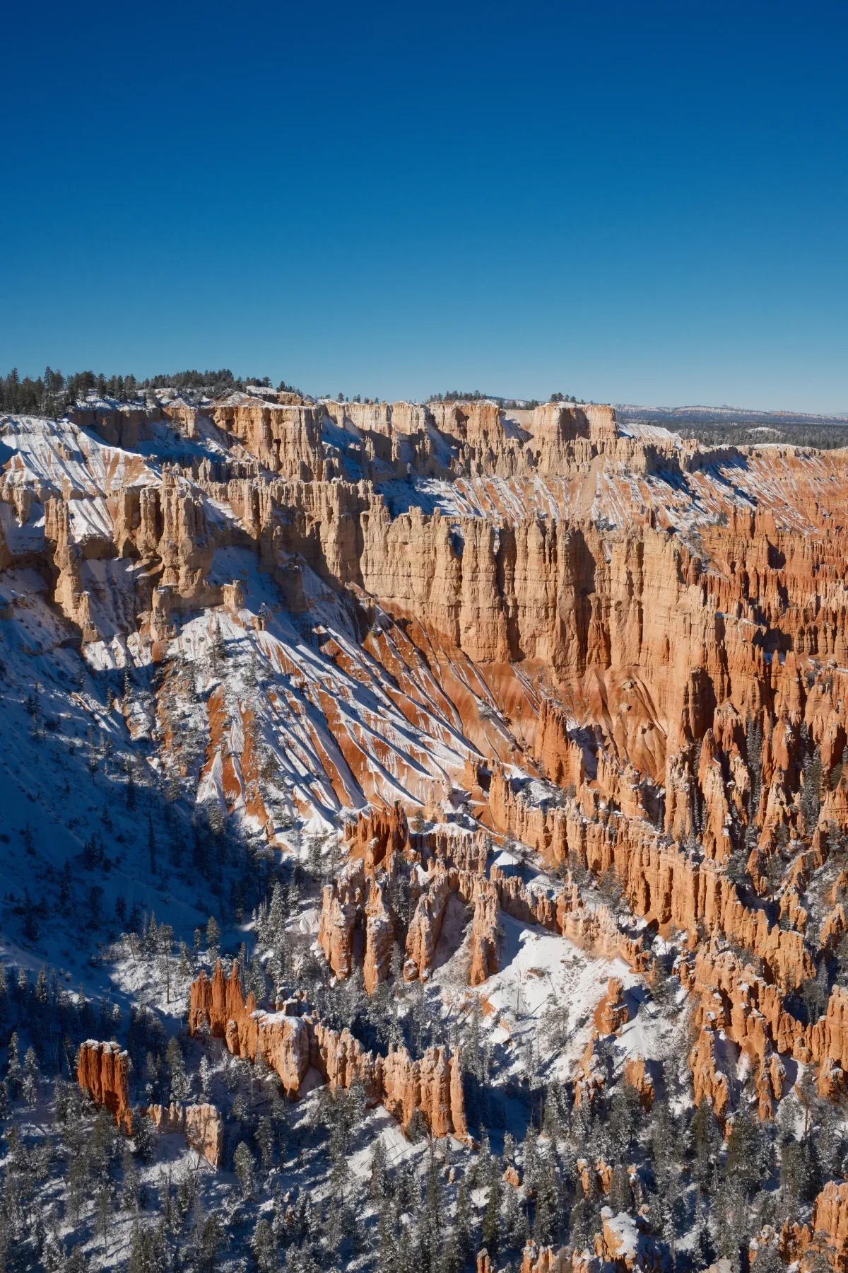 The Wild West photograph 107