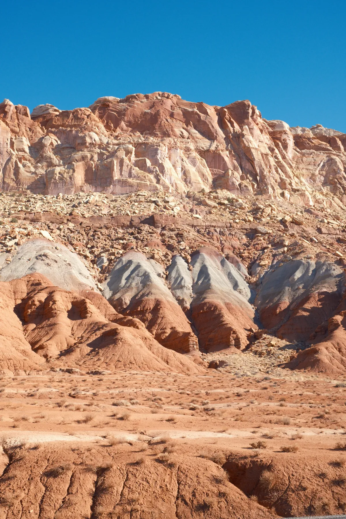 The Wild West photograph 113