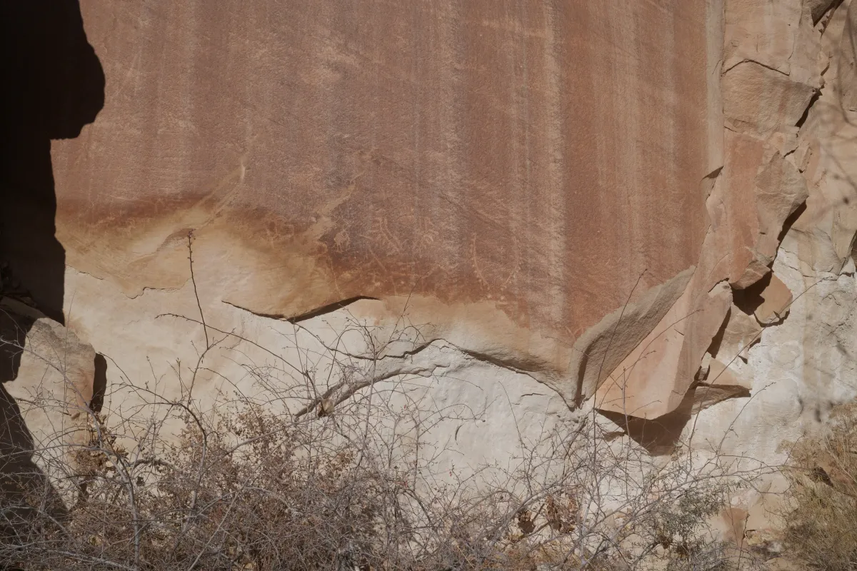 The Wild West photograph 117
