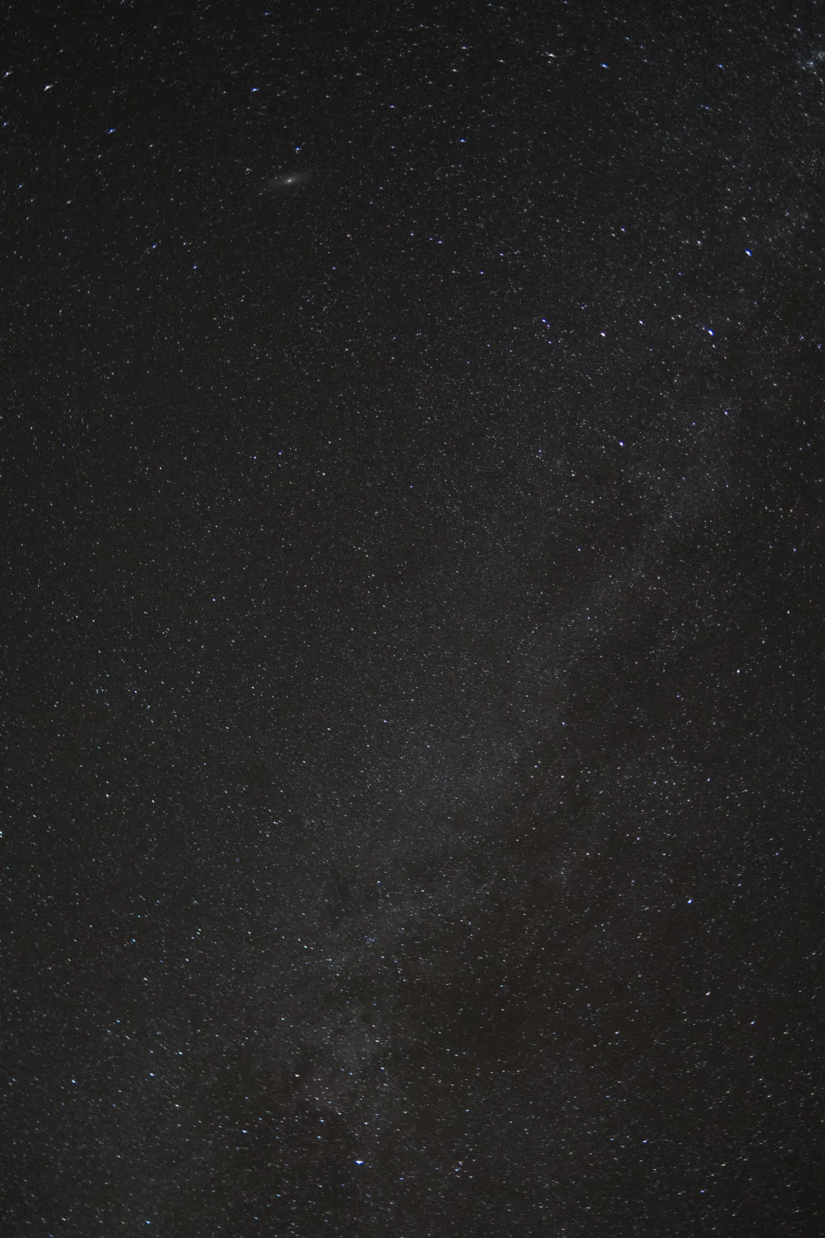 The Wild West photograph 132