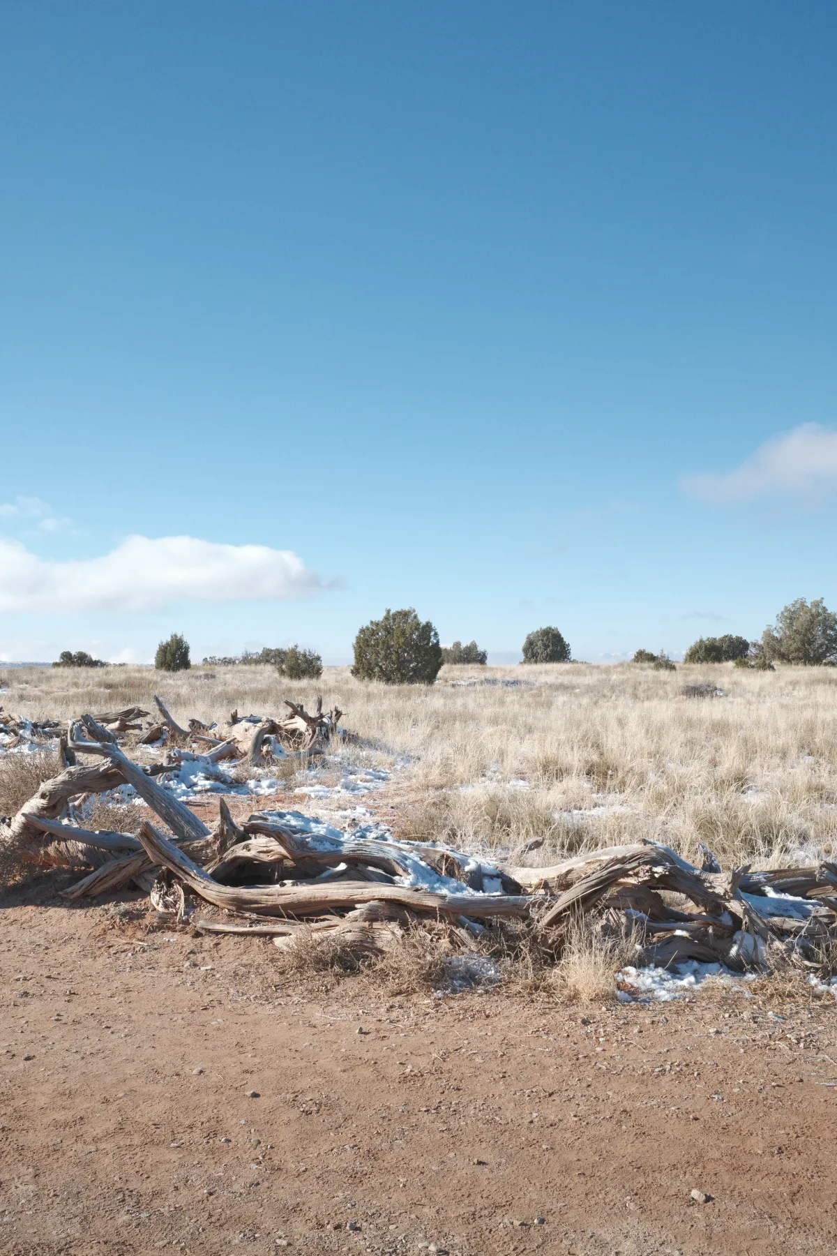 The Wild West photograph 134