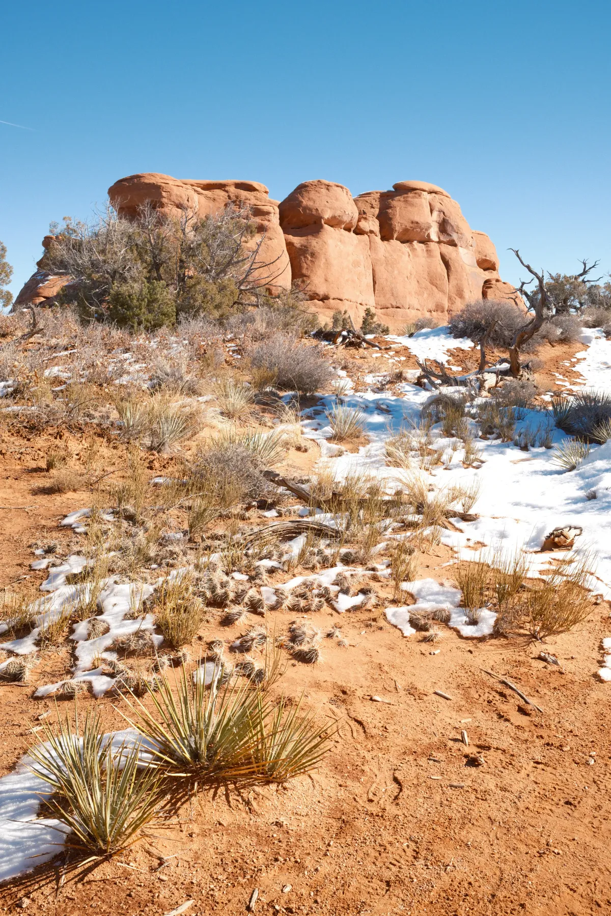 The Wild West photograph 150
