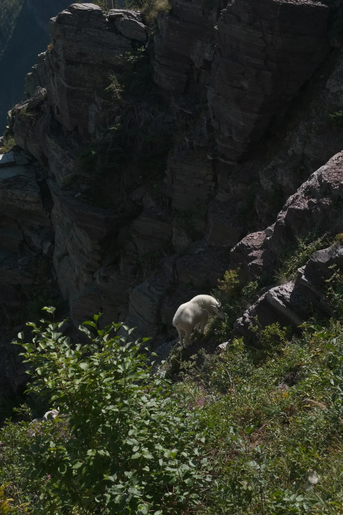 Glacier NP photograph 49