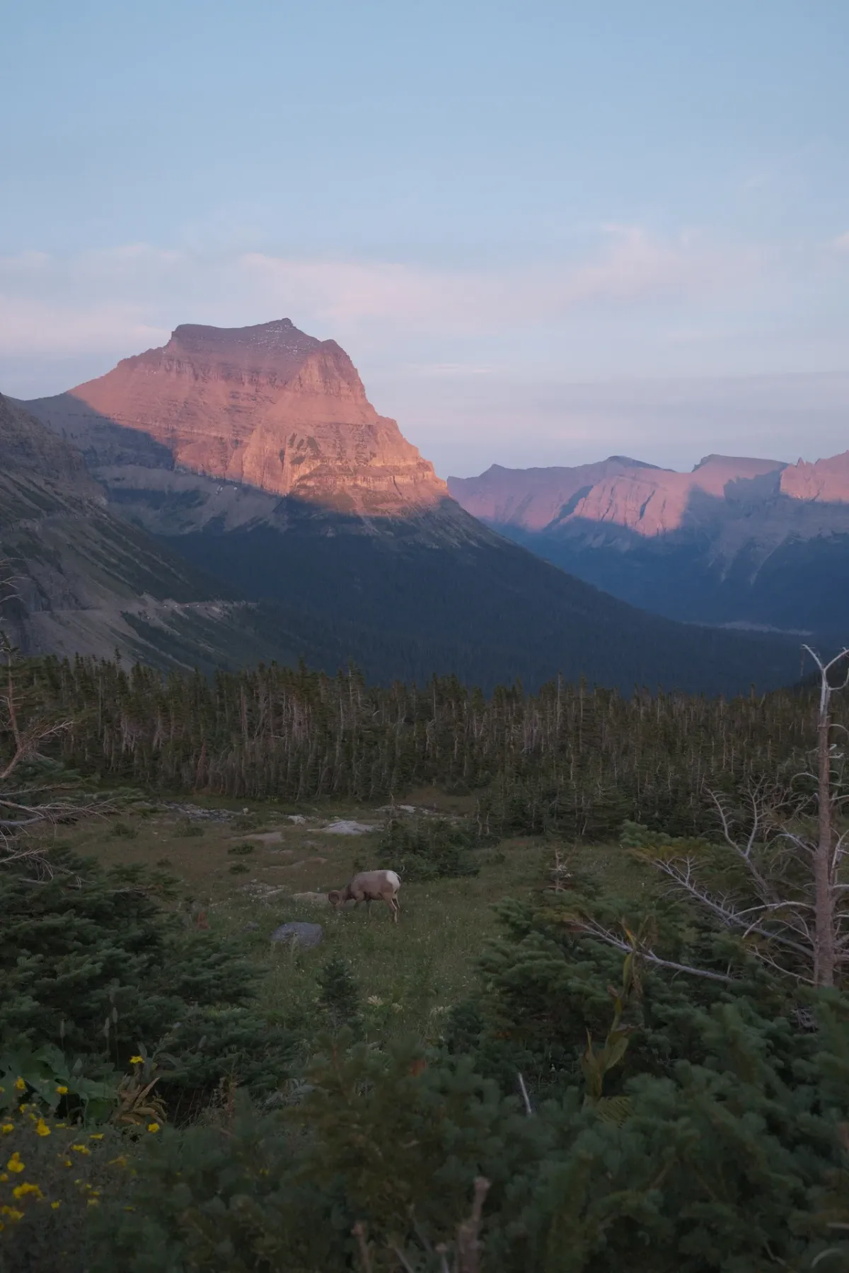 Glacier NP photograph 62