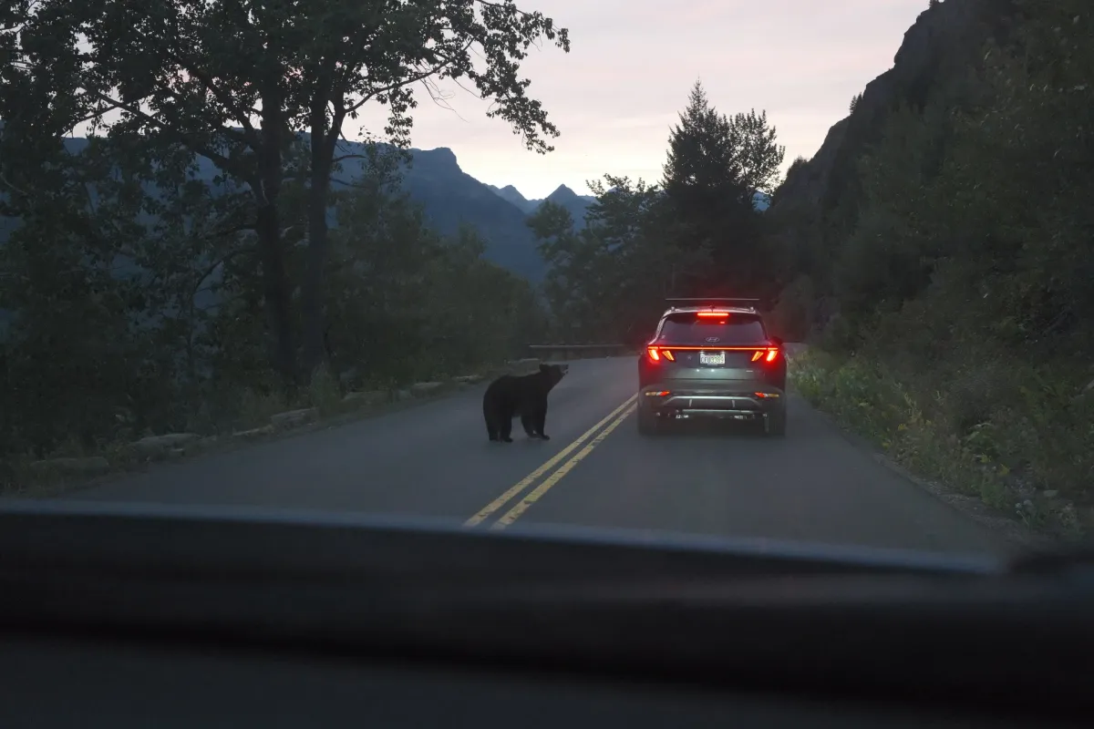 Glacier NP photograph 65
