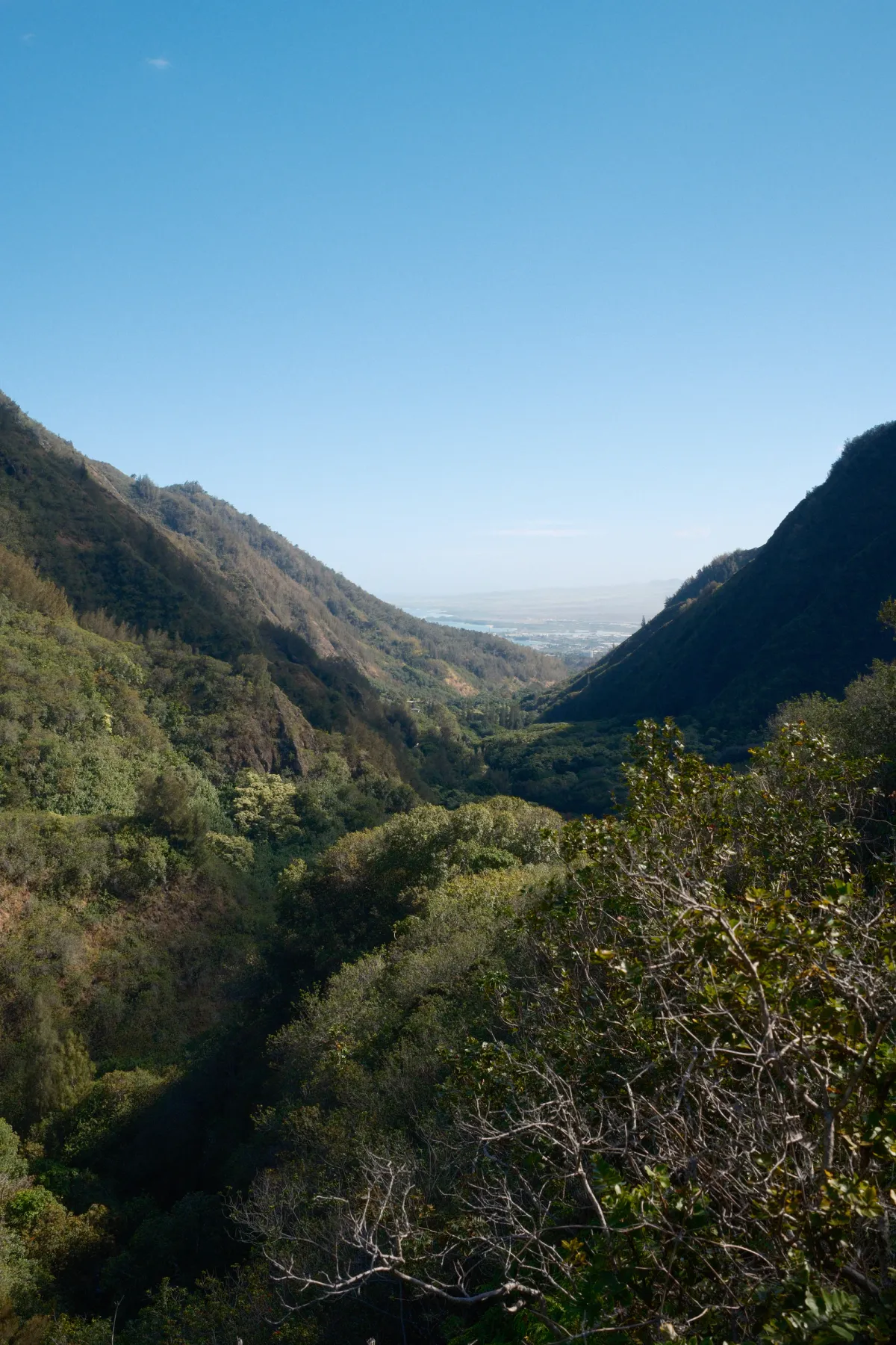 Hawaii photograph 7