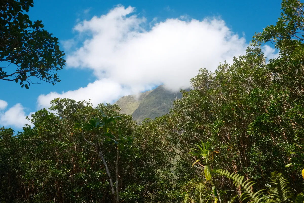 Hawaii photograph 10