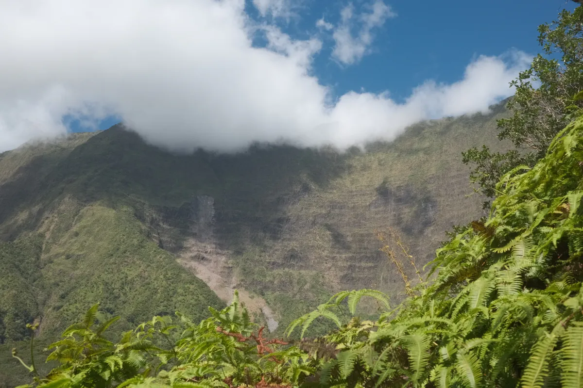 Hawaii photograph 11