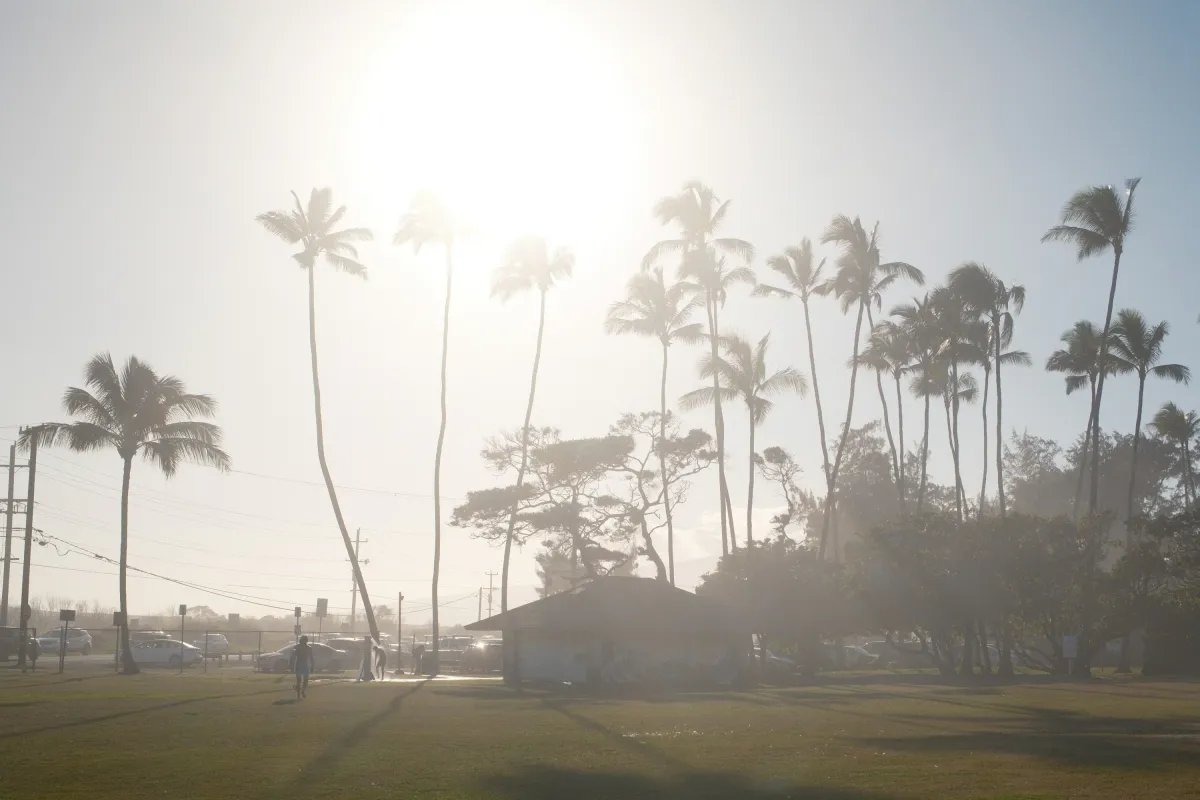 Hawaii photograph 14