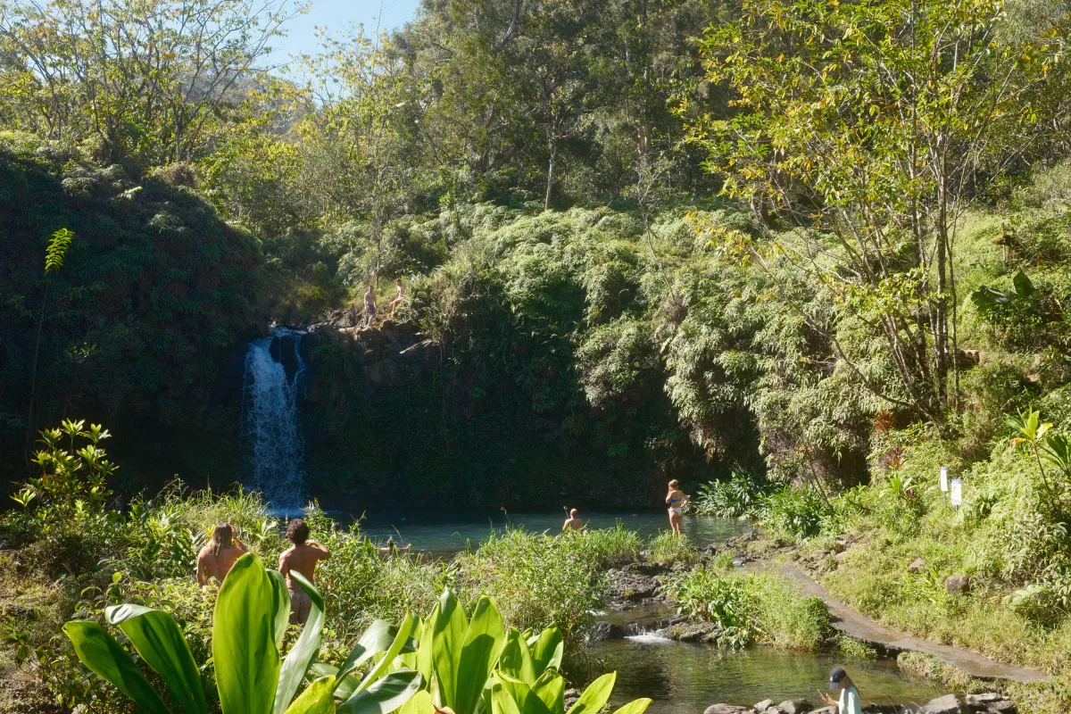 Hawaii photograph 22