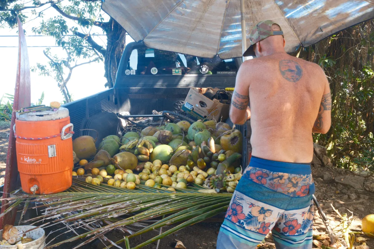 Hawaii photograph 24