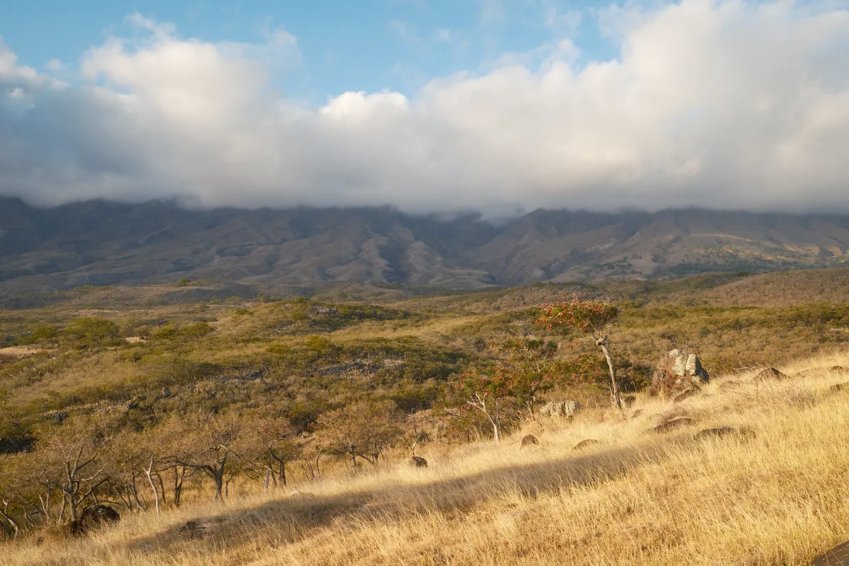 Hawaii photograph 33